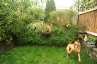 Dog fence garden
