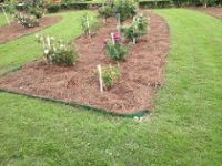 Mulched bed