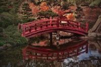Japanese bridge water