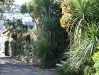 Tropical Garden St Ives