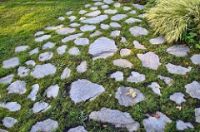 Paving stones grass