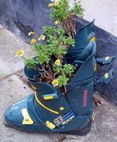 Ski boot upcycled as planter